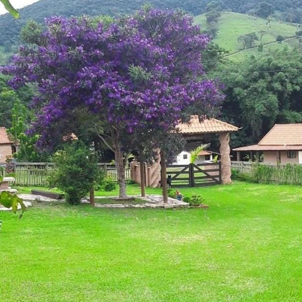 Recanto Das Flores São Tomé das Letras Eksteriør bilde