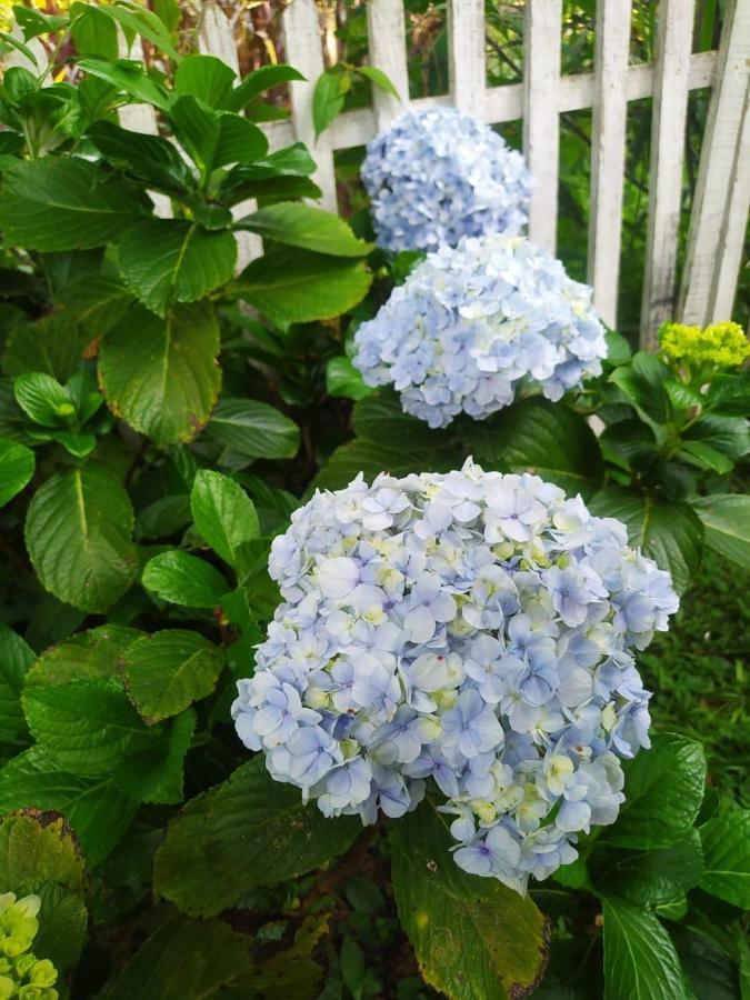 Recanto Das Flores São Tomé das Letras Eksteriør bilde