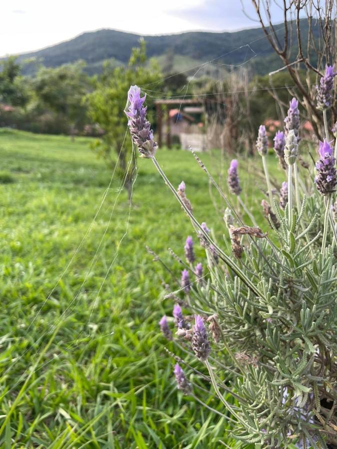Recanto Das Flores São Tomé das Letras Eksteriør bilde